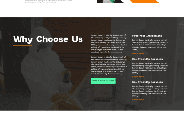 ny web experts